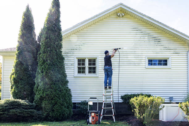 Why Choose Our Certified Pressure Washing Experts for Your Project Needs in Ridgely, MD?