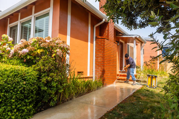 Best Affordable Pressure Washing  in Ridgely, MD