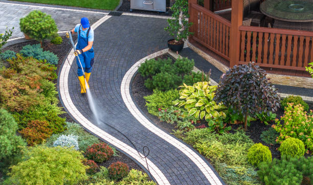 Best Pressure Washing Patio  in Ridgely, MD